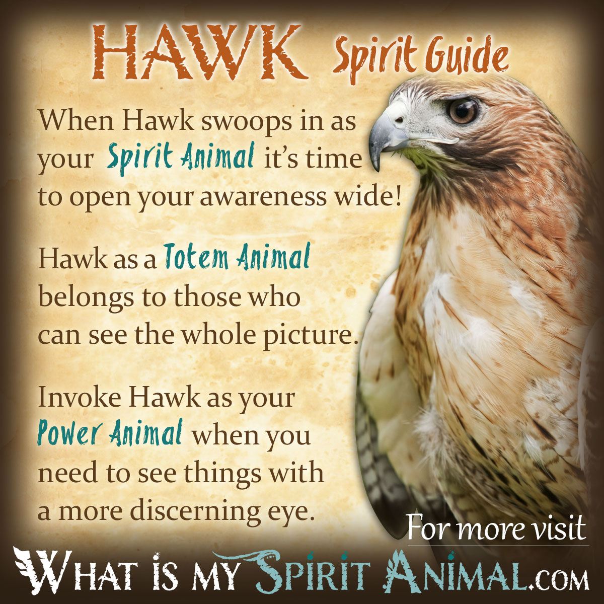 native-american-animal-symbols-meanings-animal-symbolism