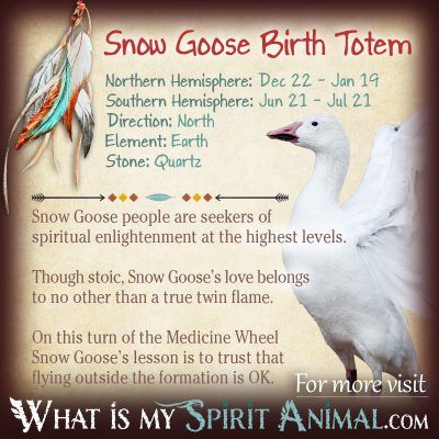 Native American Zodiac Snow Goose Birth Totem 1200x1200