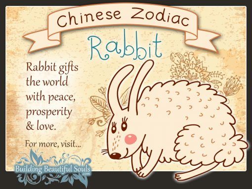 Chinese Zodiac Rabbit Child Personality &amp; Traits | Chinese Zodiac for Kids