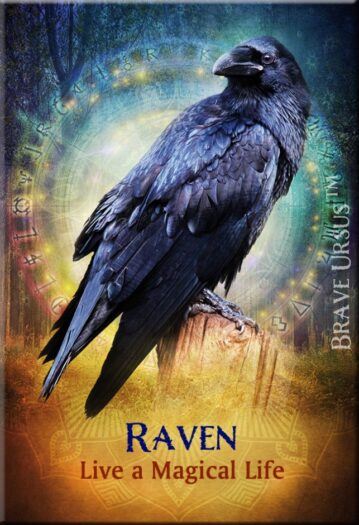 Raven Magnet - Building Beautiful Souls